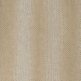Papel pintado Baldo 6