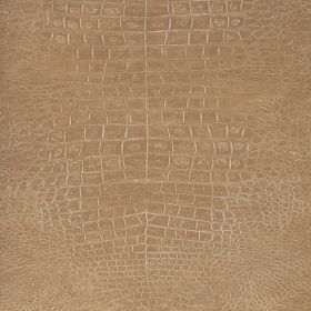 Papel pintado Elpidio 1