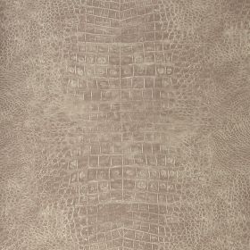 Papel pintado Elpidio 4