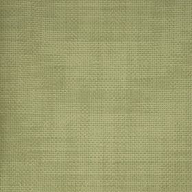 Papel pintado Mangostino 4