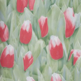 Papel pintado Tulipanes
