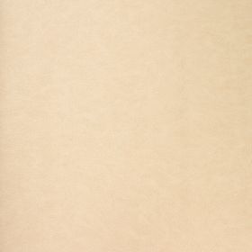 Papel pintado Dortmund 9
