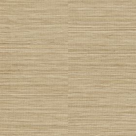 Papel pintado Trapote 2