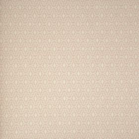 Papel pintado Pachypodium 4
