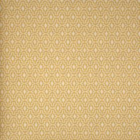 Papel pintado Pachypodium 3