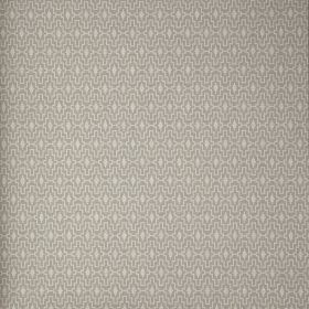 Papel pintado Pachypodium 2