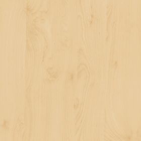 Madera Abedul 67,5x2